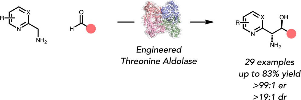 EnzymeChemistry's tweet image. Nucleophilic α-Functionalization of Benzyl Amines Using an Engineered Threonine #Aldolase by Yao Ouyang, Suhao Wang, Damien Sorigue, and Todd K. Hyster at @PrincetonChem in @J_A_C_S pubs.acs.org/doi/10.1021/ja…
