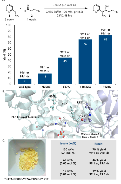 EnzymeChemistry's tweet image. Nucleophilic α-Functionalization of Benzyl Amines Using an Engineered Threonine #Aldolase by Yao Ouyang, Suhao Wang, Damien Sorigue, and Todd K. Hyster at @PrincetonChem in @J_A_C_S pubs.acs.org/doi/10.1021/ja…