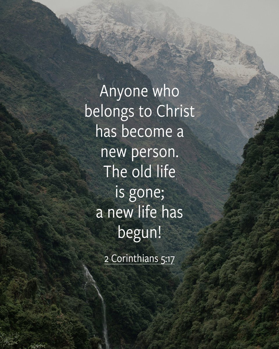 WarCryUSA's tweet image. What would it look like to lead with an ego so anchored in God’s love that you can be who you are called to be in any given context, at any given moment?
🔗 thewarcry.org/articles/chris…
#Bible #BibleVerse #Scripture #ChristianInspiration