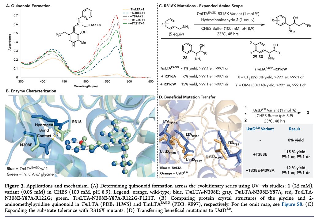EnzymeChemistry's tweet image. Nucleophilic α-Functionalization of Benzyl Amines Using an Engineered Threonine #Aldolase by Yao Ouyang, Suhao Wang, Damien Sorigue, and Todd K. Hyster at @PrincetonChem in @J_A_C_S pubs.acs.org/doi/10.1021/ja…