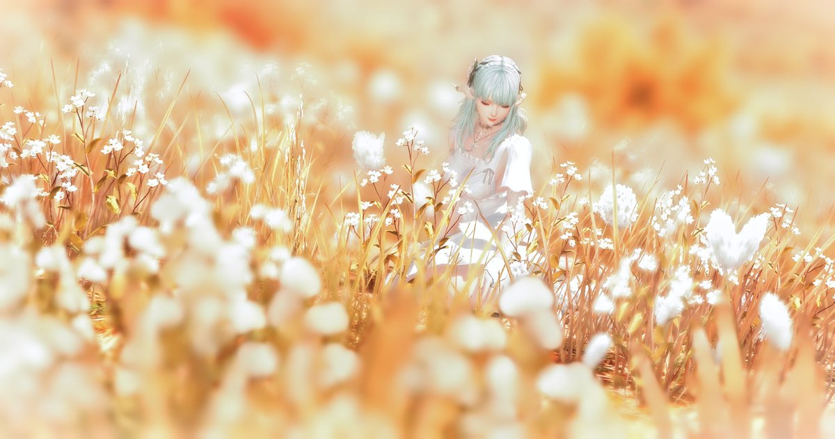 llamy_adventure's tweet image. 𓂃 ࣪˖ ִֶָ ☁️་༘ Feel the wind 𓂃 ࣪˖ ִֶָ ☁️་༘
#GPOSERS #eorzeaphotos #Au_Ra