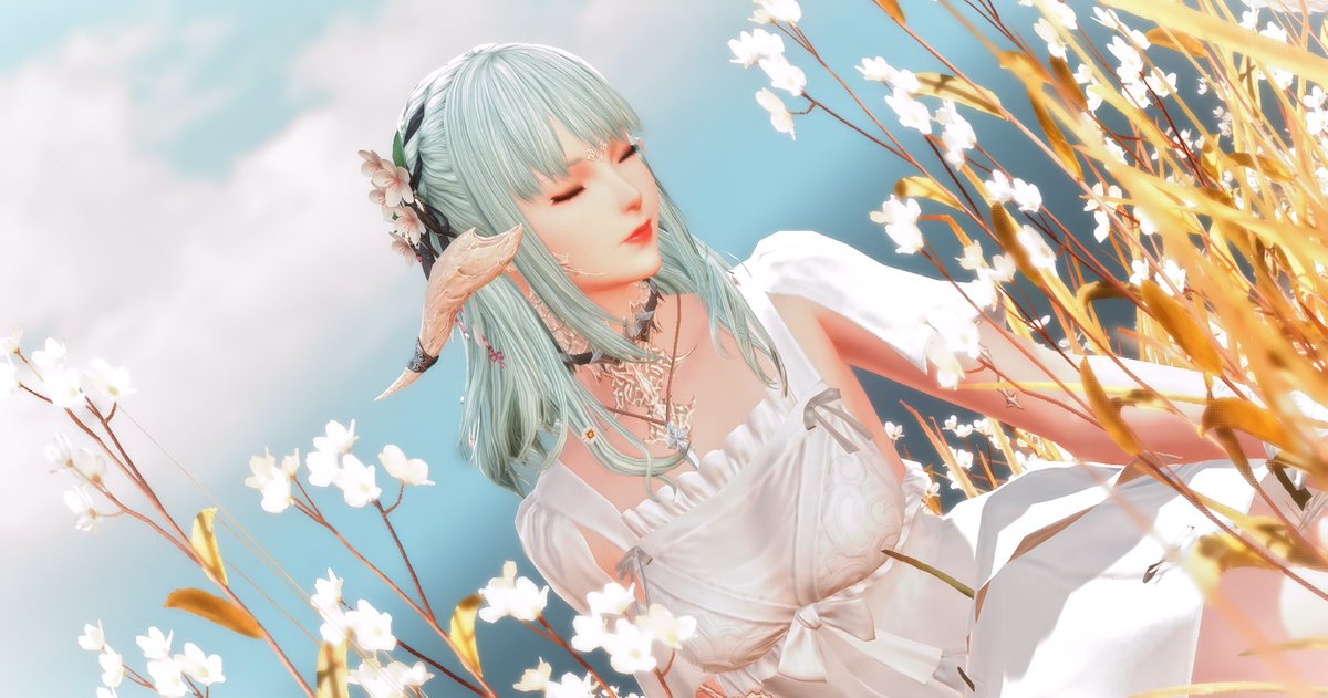 llamy_adventure's tweet image. 𓂃 ࣪˖ ִֶָ ☁️་༘ Feel the wind 𓂃 ࣪˖ ִֶָ ☁️་༘
#GPOSERS #eorzeaphotos #Au_Ra