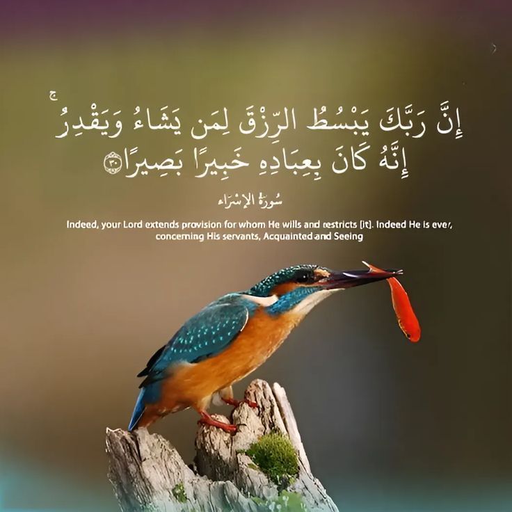 reposts, it will help you🤍🕊️