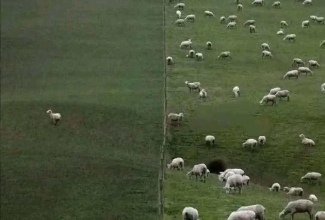 Me everytime the topic is about giving girls money.