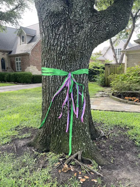 Del Irani tweet media