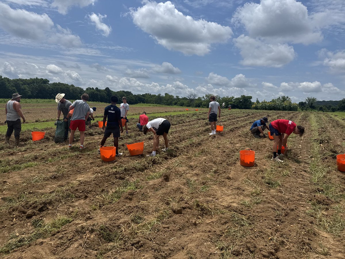 theBAFootball's tweet image. Today a group of BA Football players served the mission and ministry of @Cul2vateFarms in their potato fields. Good work men!! #DoMore #matthew25:35