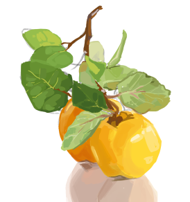 bluechanas's tweet image. omnomonomnomnom