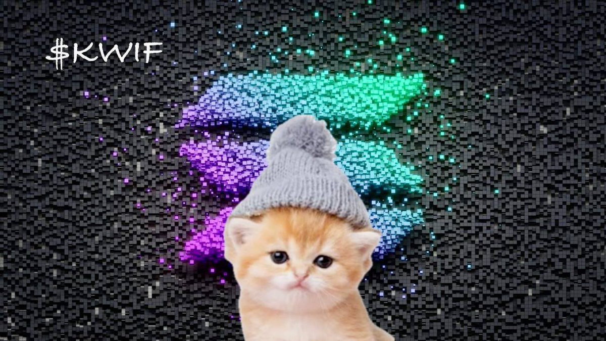 KWIFOG's tweet image. Nasty rainy days makes for exciting creative days inside
Climbing curtains, making bread on rugs and rolling around like a wild thing before taking off with the zoomies
Sheeewwww I need a bath…..need to take care of that later
Thanks for all the love on X….I love all my…