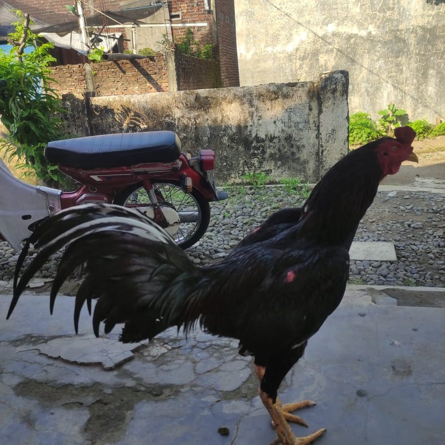 Supriyadi124491's tweet photo. #FotoProfilBaru https://t.co/blggTuzDsr