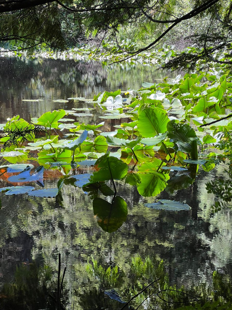 Nerede olursan ol bir güzelliğin parçası olabilmek...