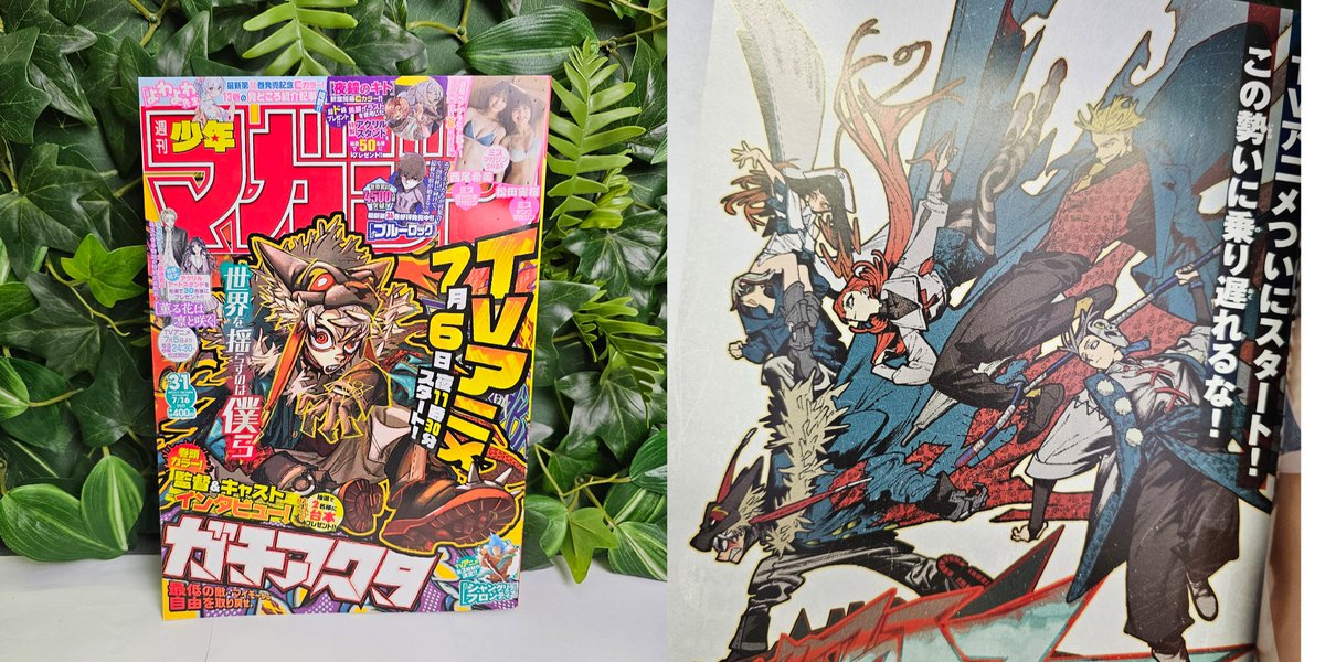 konotoree's tweet image. Salut tout le monde,
Des quantités supplémentaires pour le Weekly Shonen Magazine n°31 de 2025 avec Gachiakuta en cover, ainsi que pour le Young Magazine n°32 (2025) avec le chapitre Furyo 1993 de Hiro Mashima ont été ajoutées 🔥
C’est disponible ici : konotoree.com