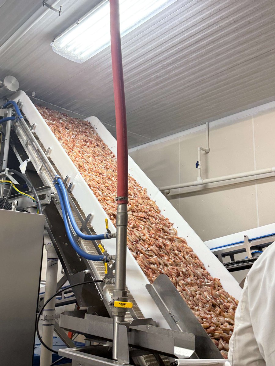 TXGulfSeafood's tweet image. Commissioner Sid Miller had the pleasure of touring a Texas wild-caught Gulf shrimp packing facility located in Brownsville, TX #TexasAgricultureMatters #TexasSeafoodMatters #Gulfseafood