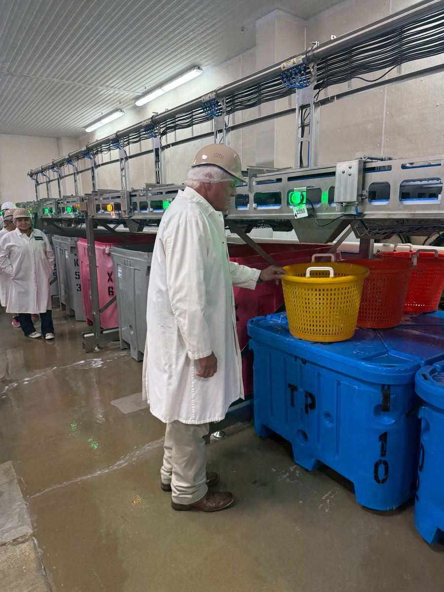 TXGulfSeafood's tweet image. Commissioner Sid Miller had the pleasure of touring a Texas wild-caught Gulf shrimp packing facility located in Brownsville, TX #TexasAgricultureMatters #TexasSeafoodMatters #Gulfseafood