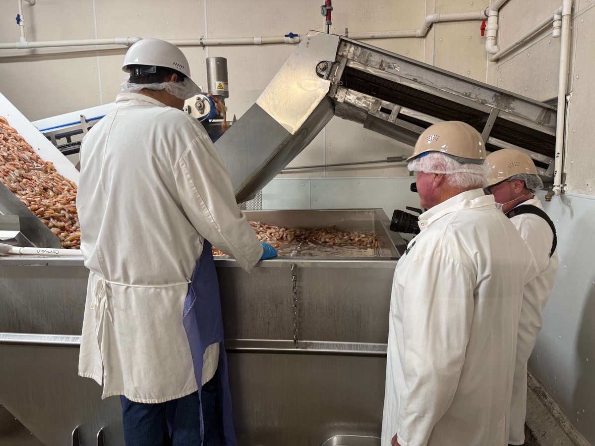TXGulfSeafood's tweet image. Commissioner Sid Miller had the pleasure of touring a Texas wild-caught Gulf shrimp packing facility located in Brownsville, TX #TexasAgricultureMatters #TexasSeafoodMatters #Gulfseafood