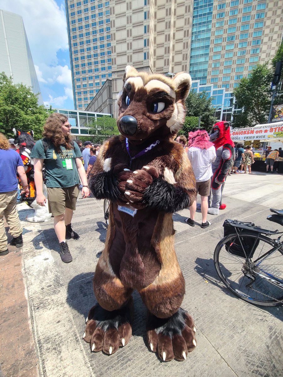 Who said wolverines are vicious? This one is just lovable #AC2025