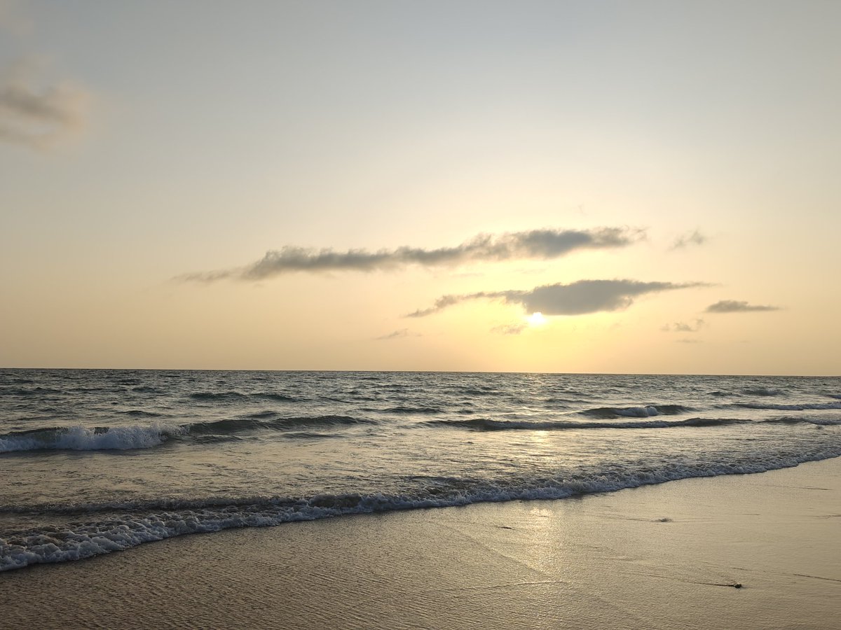 el sol de hoy salió tímido