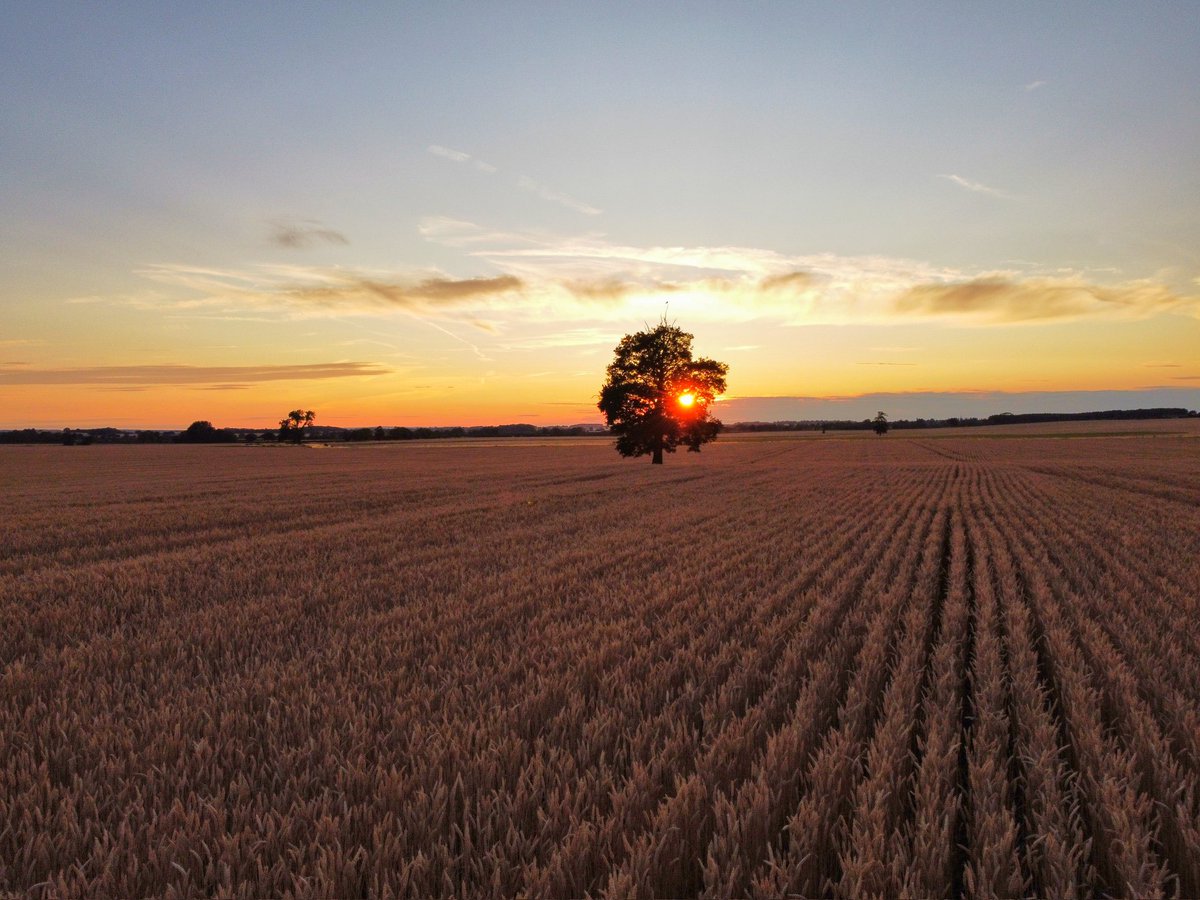 Last night's sunset views in Leicestershire
<a href="/StormHour/">#StormHour</a> <a href="/ThePhotoHour/">#ThePhotoHour</a> #loveukweather
