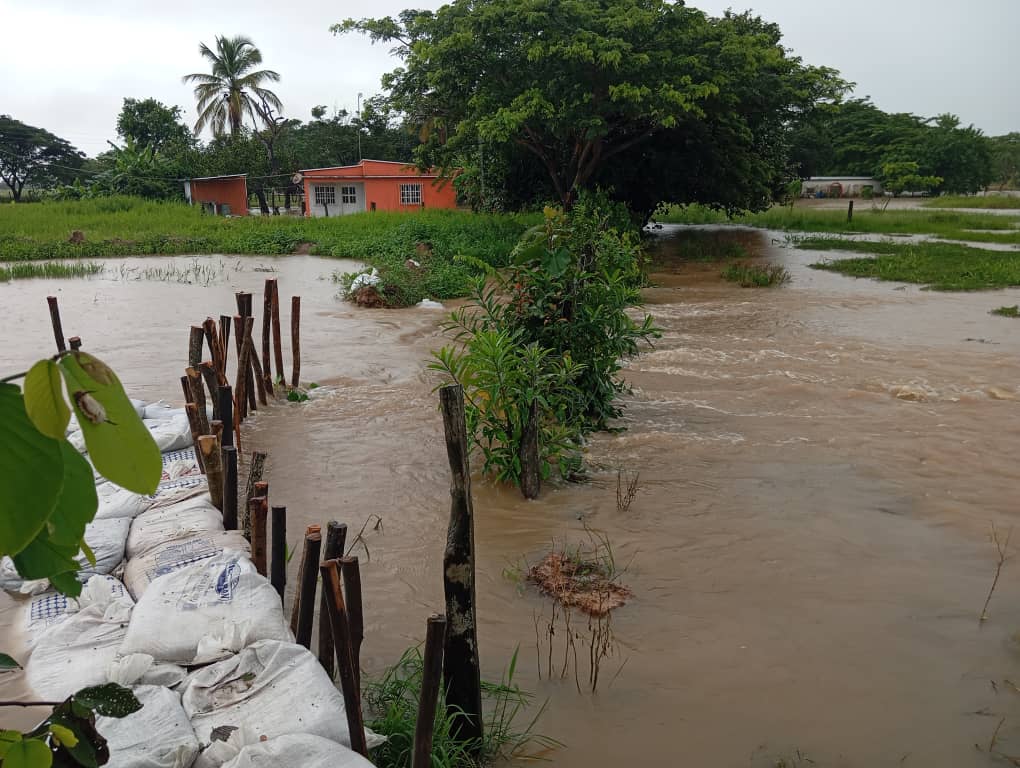 Yandir_PCD's tweet image. Mientras Venezuela enfrenta una grave emergencia por las intensas lluvias que han afectado a municipios enteros en más de seis estados del país, el usurpador y sus cómplices solo se enfocan en unas supuestas elecciones y en aumentar el poderío militar.
Esta es una muestra clara…