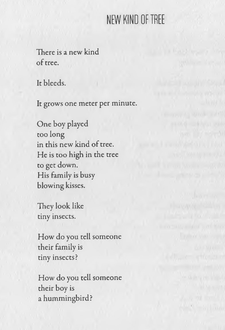 lightumbreIla's tweet image. Zachary Schomburg ~
How do you tell someone
their family is
tiny insects?
How do you tell someone
their boy is
a hummingbird?