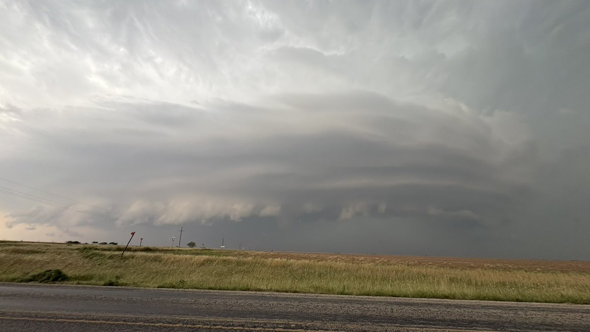 leigh leigh ⚡️ tweet media