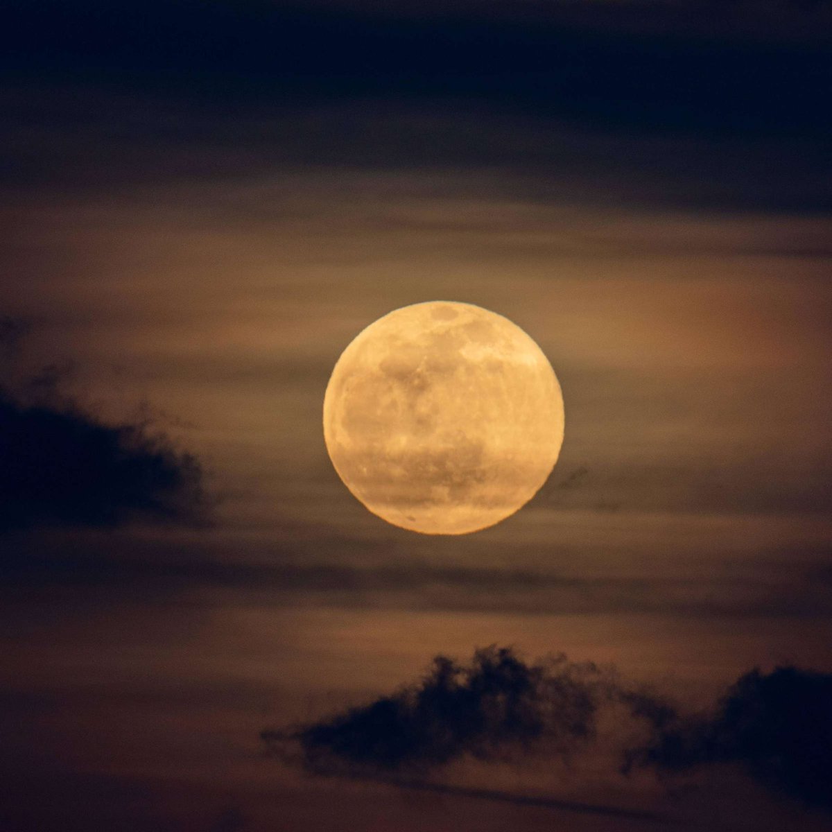 adrificialjohn's tweet photo. What if a run starts on Full Moon ? 

When would that be ? :) https://t.co/qoiatKJlkh