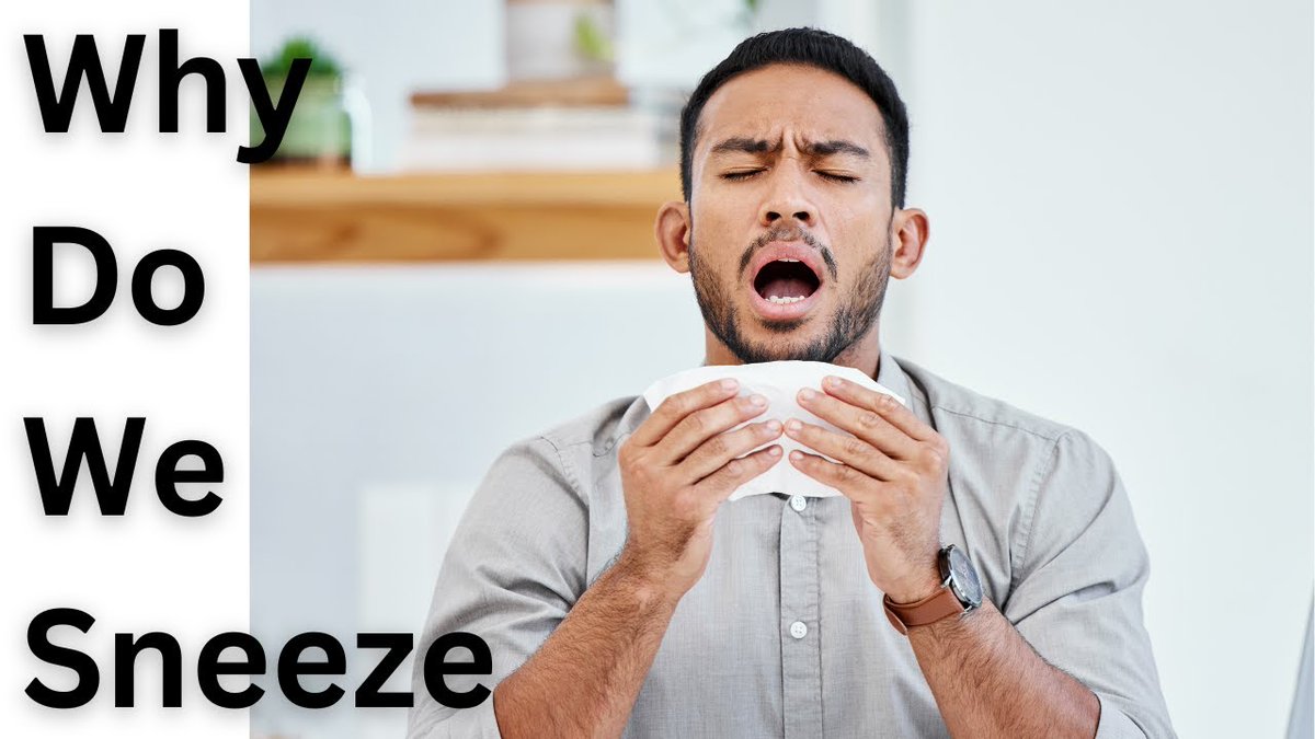 Your sneeze can blast out at 160 km/h—and might even be triggered by sunlight.☀️🤧 Ever wonder why? Or why it feels so damn good?
Watch the science behind the sneeze:
youtu.be/t5aHNOrUKgg