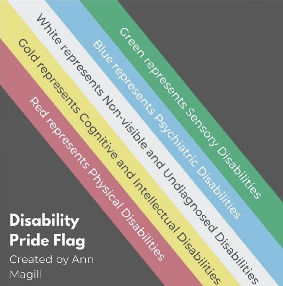 GMCDP's tweet image. We did not stop the Bill, but we took a huge chunk out of it & the govt panicked, they thought we'd be an easy target, we were not. And we're not going away now we have come together to defend our lives and Rights.
A salute to you all!
#NothingAboutUsWithoutUs
#DisabilityPride