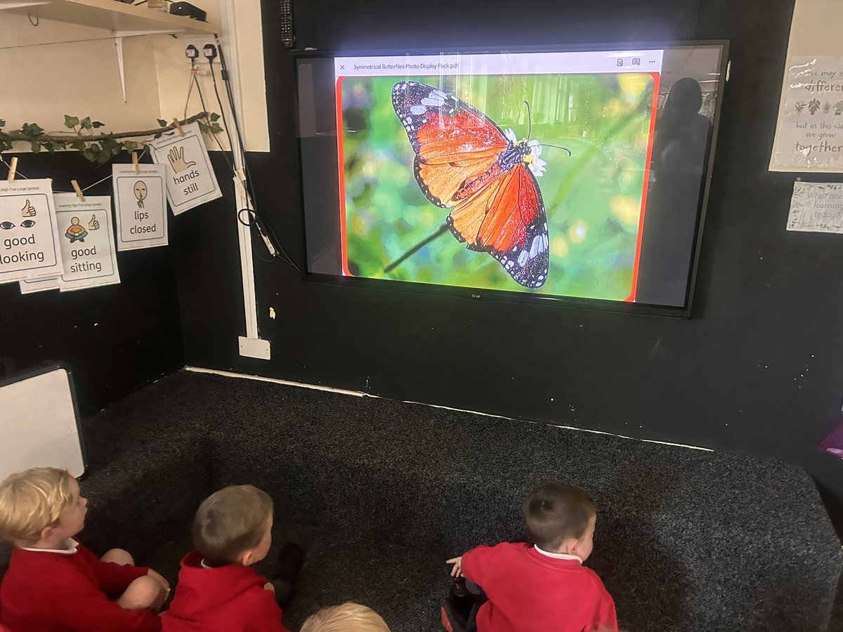 PCPNursery's tweet image. Today we took a closer look at butterflies. We noticed that the butterflies we could see had the same pattern on both wings. We learnt that this is called symmetry.  🦋 🦋 #pcpmaths