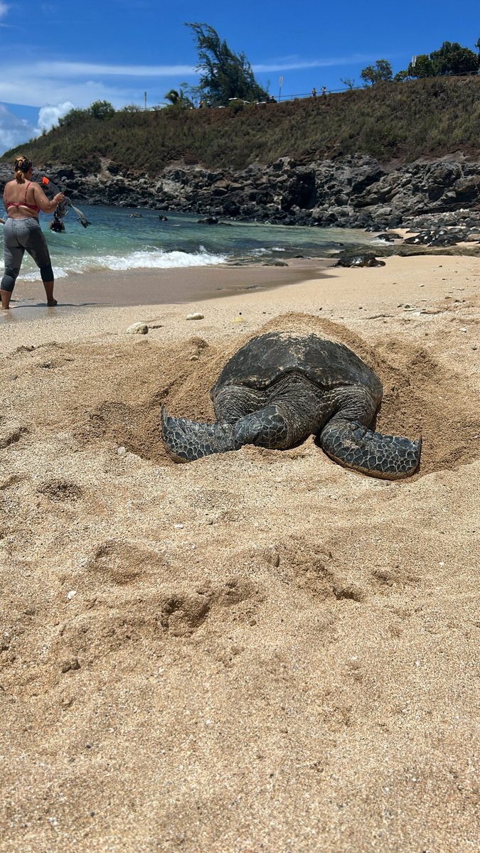 divinely daria ☿ (@divinelydaria) on Twitter photo 