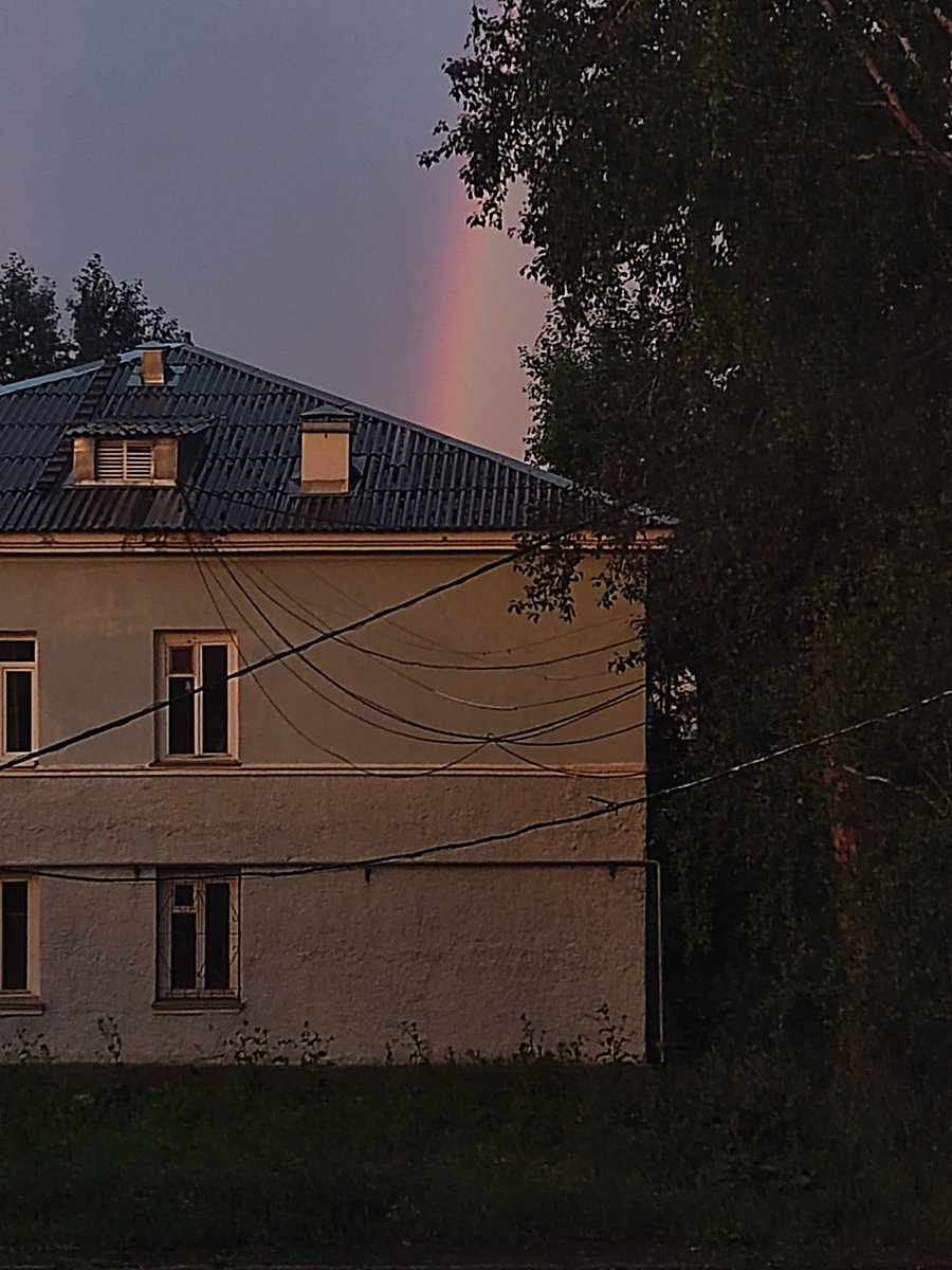 senselessof's tweet image. 