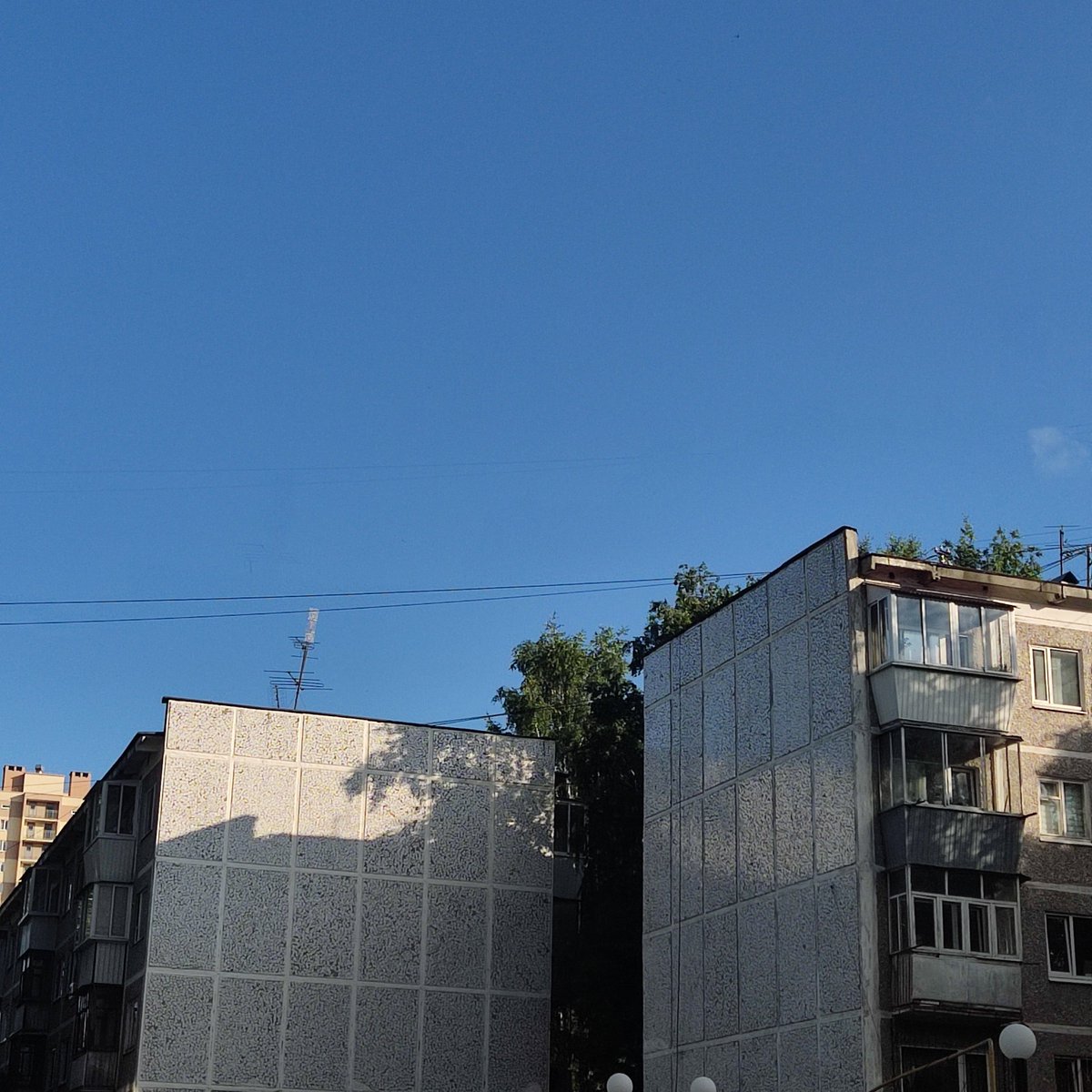 senselessof's tweet image. 