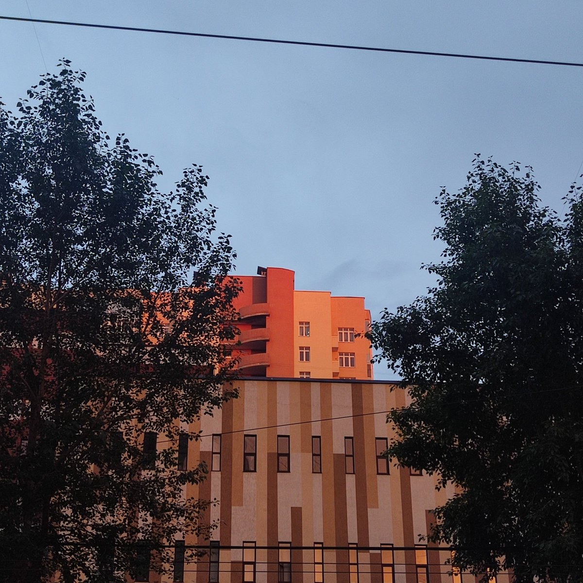 senselessof's tweet image. 