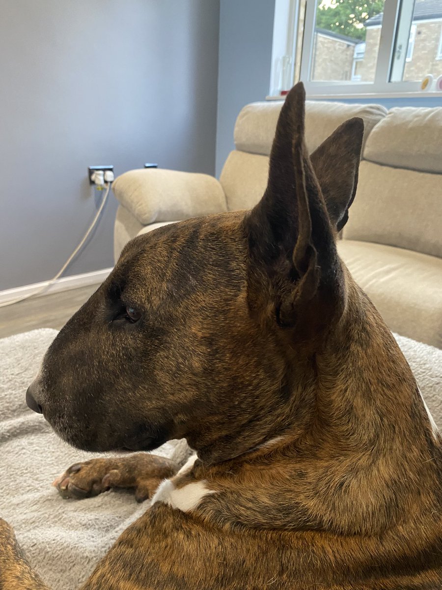 Is that the kitchen cupboard I hear ?