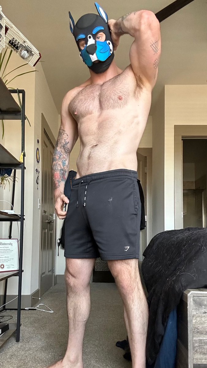 DieterWolfe_XXX's tweet photo. #musclepup 😈😏🔥 

Retweet if you wanna see the nudes 👀 https://t.co/SR8liVSGHY