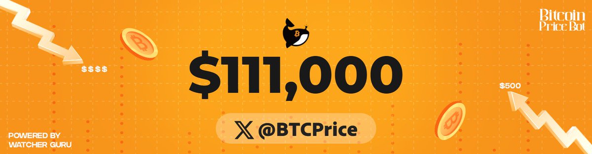 BurnBNB (@burnbnb) on Twitter photo 🟢 Bitcoin Price: $111,000 🟢 Bitcoin Price: $111,000
