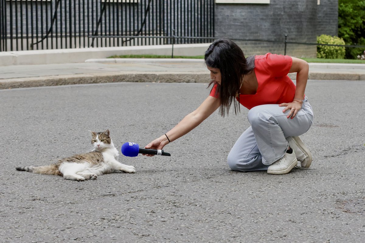 A French journalist holds a microphone to Larry the Cat, as Prime Minister Keir Starmer and and his wife Lady Victoria Starmer meet with President of the French Republic, Emmanuel Macron and First Lady of France Brigitte Macron at Downing Street.
