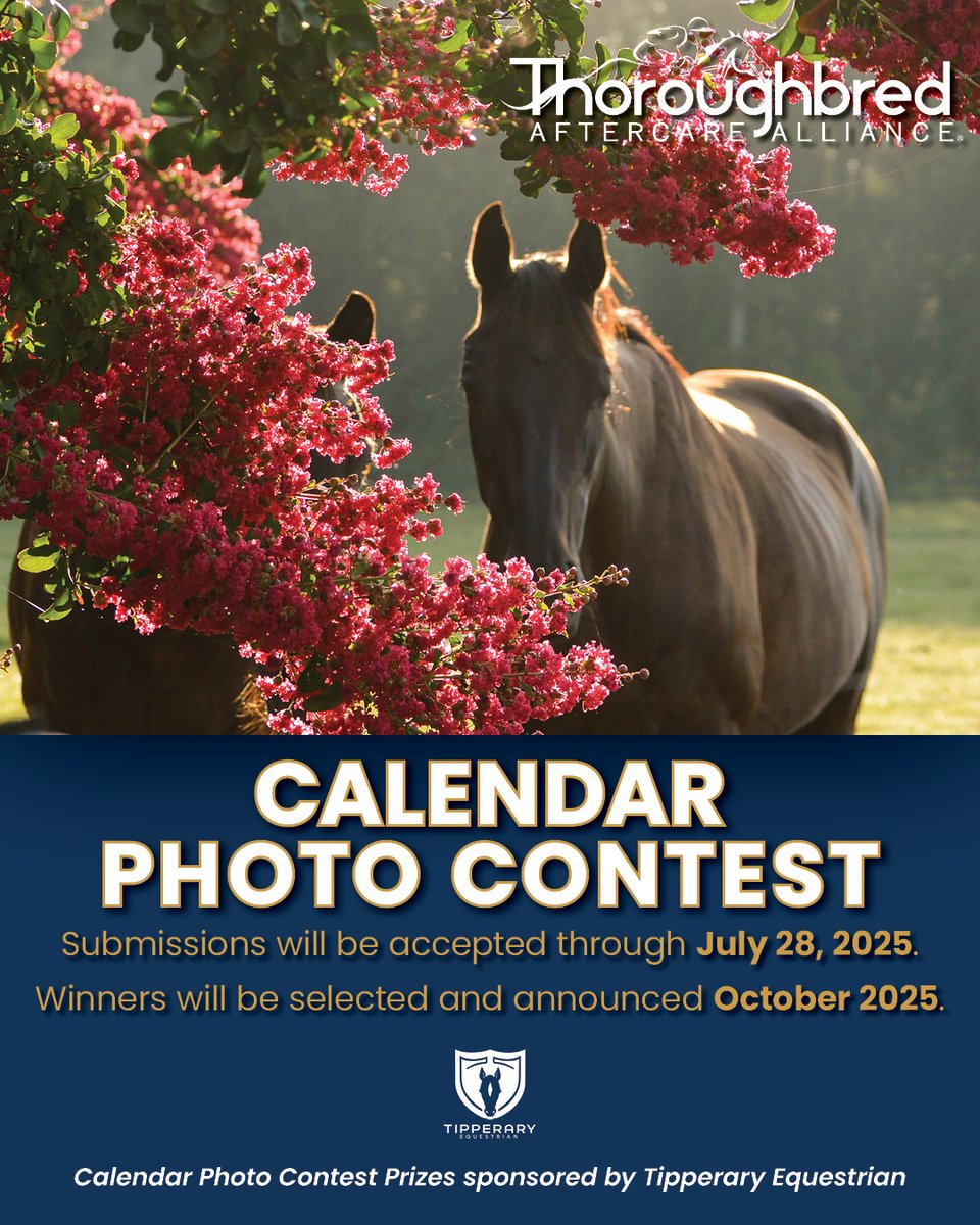 Don't forget to submit your photos! 📷 📆 

Winners will be featured in the 2026 Calendar! 

Submit by July 28 using the link below: 
bit.ly/4mMGRAg