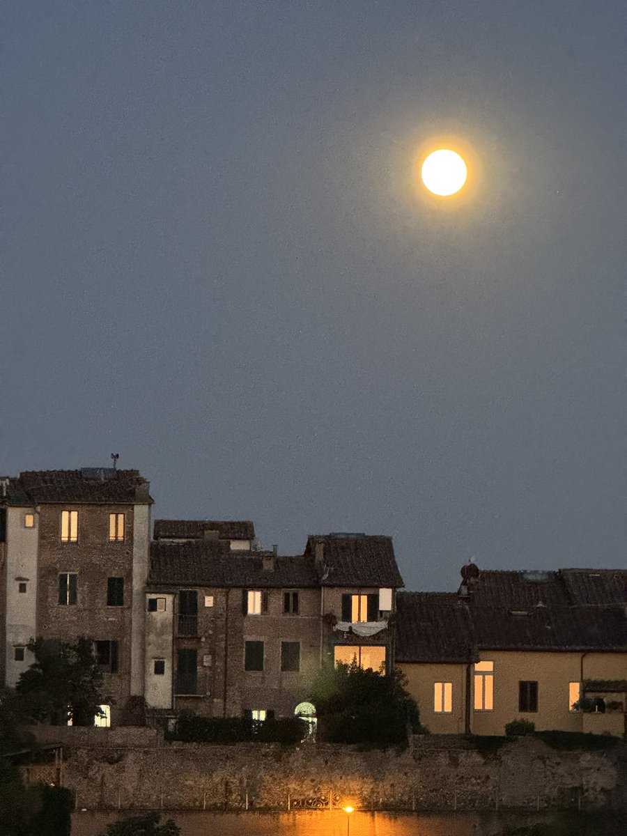 Dr. Martin Stynes tweet media