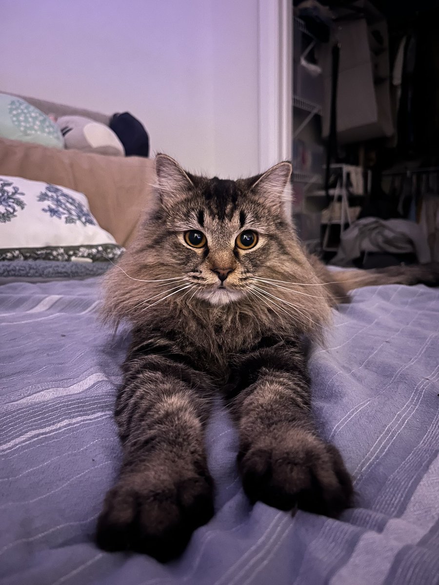 me praying to riot that maybe one day ill get my vct game changer title