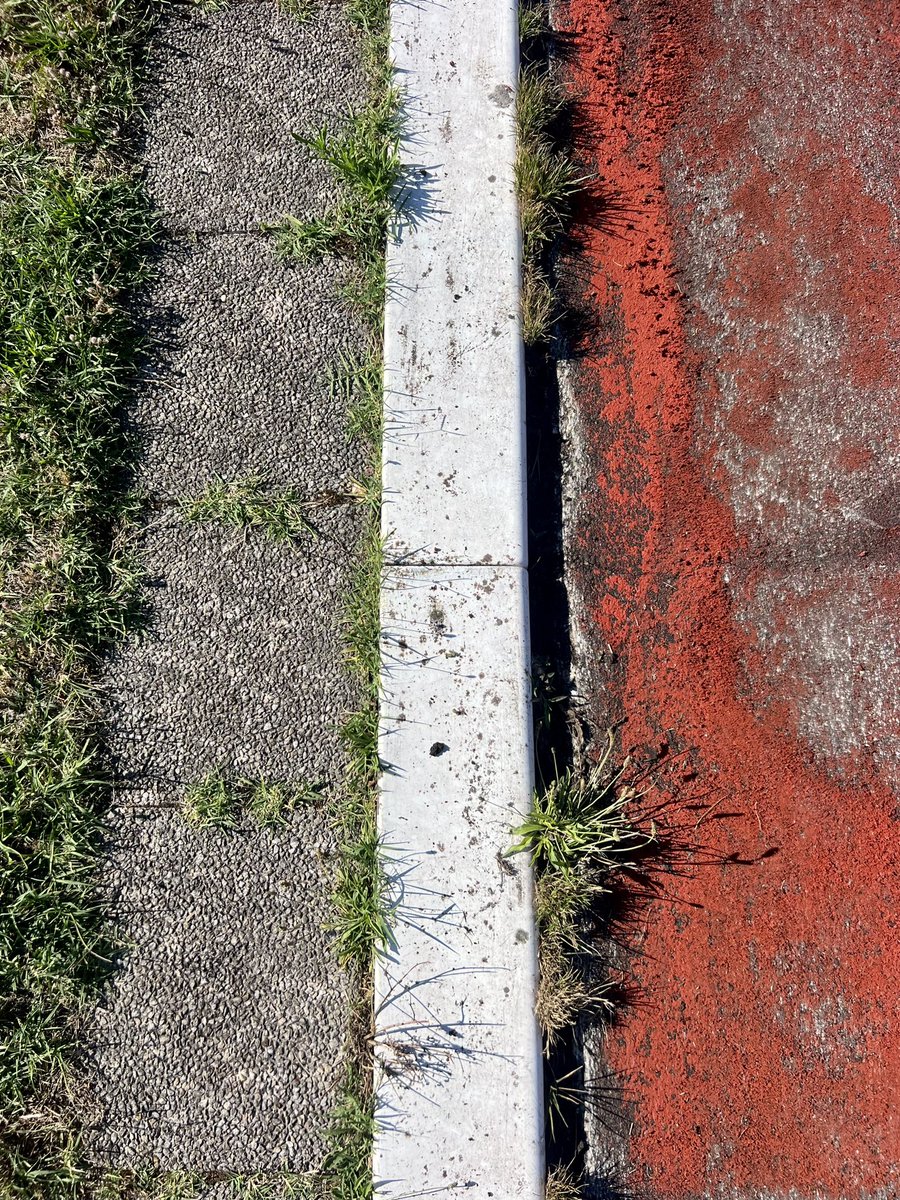 Première pierre ! 🧱
Quelle chance nous avons ! 🏟️