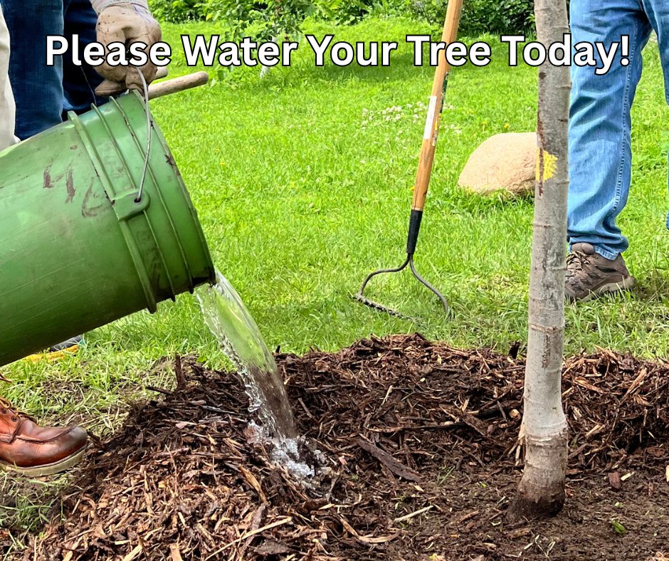 Wednesday Water Alert: Give em a drink to get through the day....rain should be on the way!