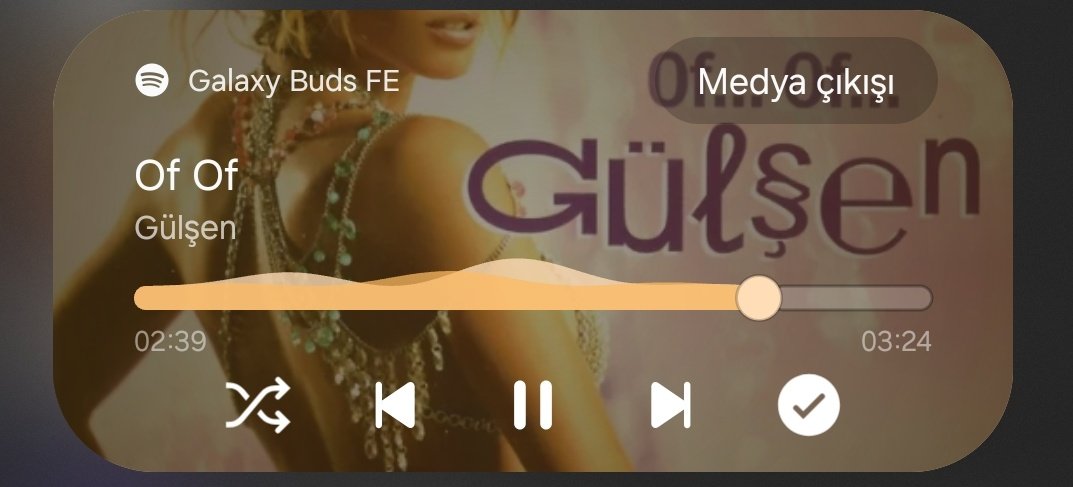 aynen kızım rock metal harici bi şey dinlemem ben böyleyim