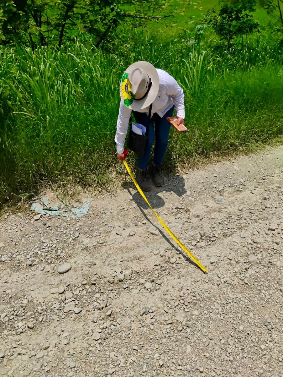 DarioFGzzC's tweet photo. 💧 CONAGUA inspeccionó los bordos Norte y Sur de Tamuín para su evaluación y reforzar medidas por las lluvias.
🔍Se detectaron necesidades de mantenimiento y conservación.
👷‍♂️Participaron autoridades locales y PC.
#CONAGUAInforma #Tamuín #GestiónDelRiesgo #PorUnSanLuisConBienestar https://t.co/aME50Vm42x