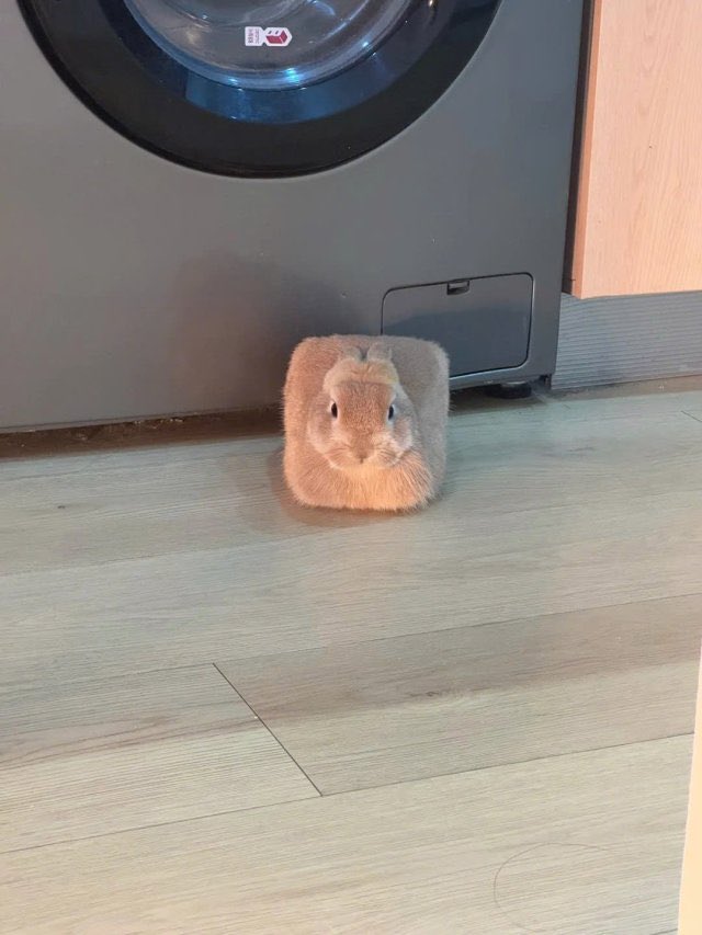 nobody at all:

the nefarious cube: