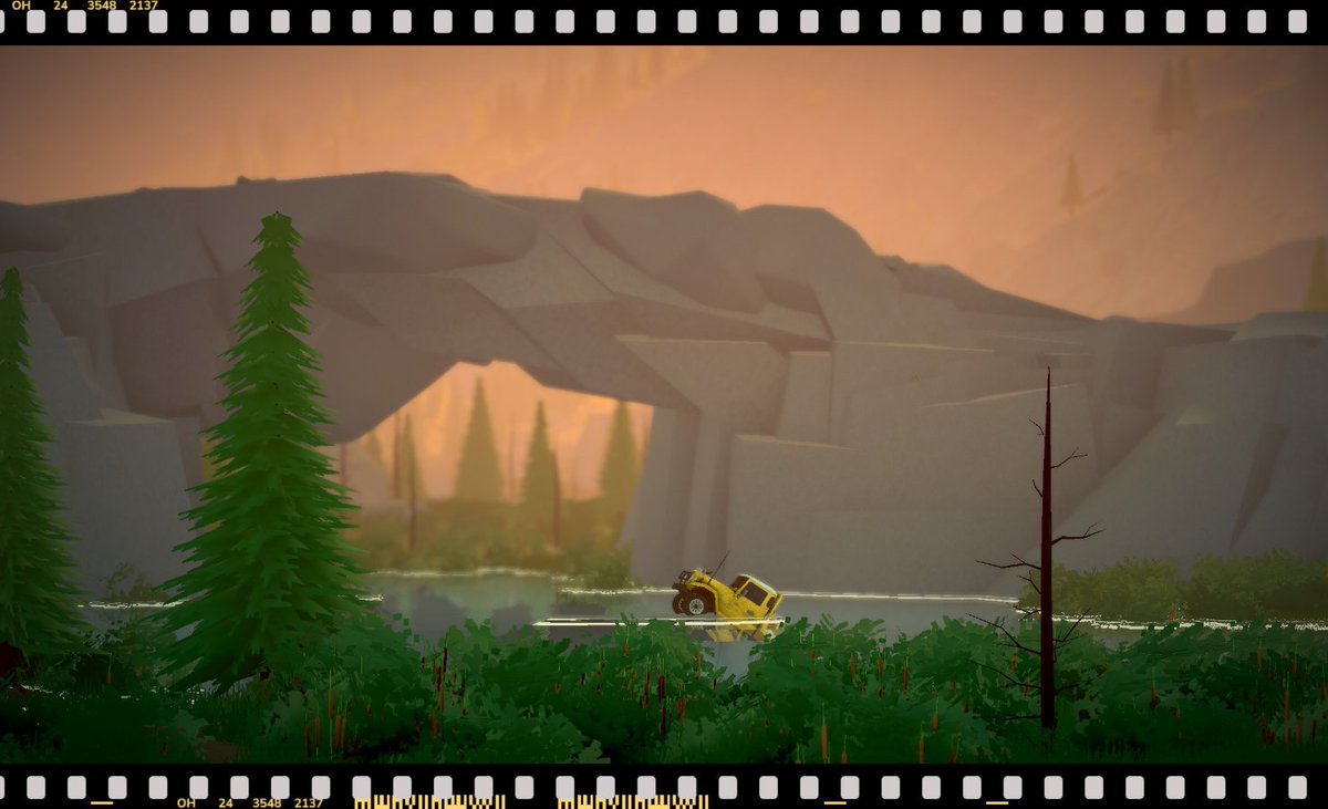 this is my swamp