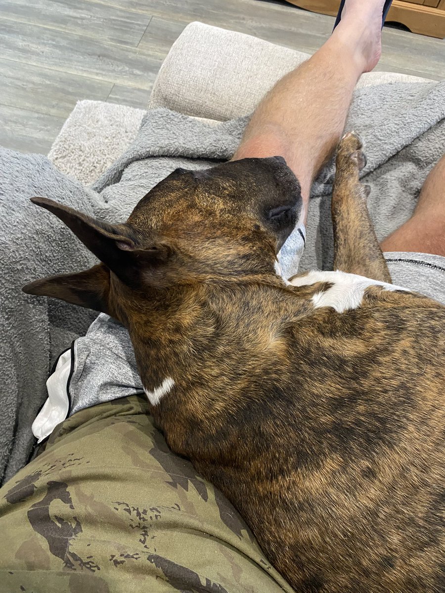 Only if he knew he weighs 32 kg