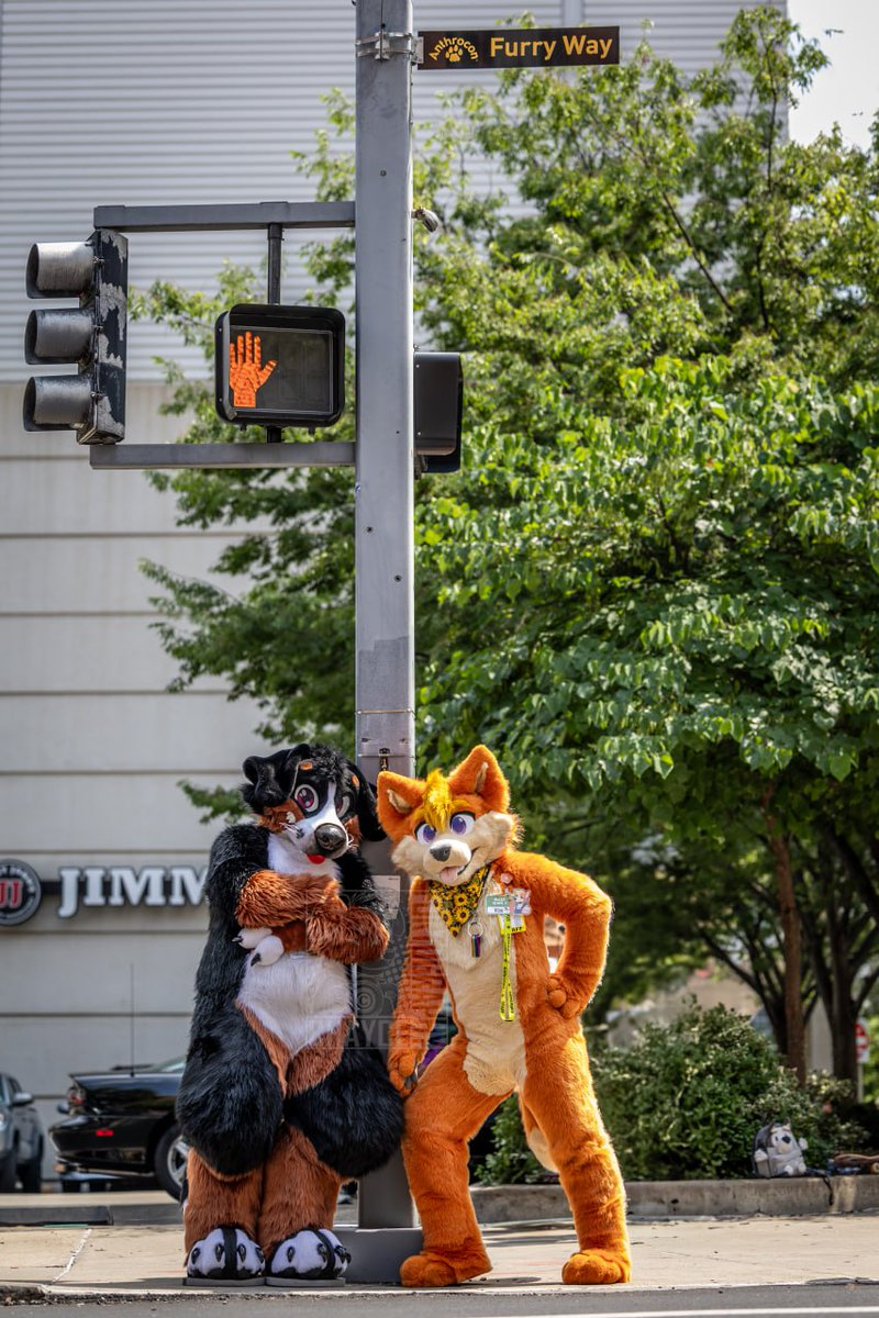 You wish you were this cool.
📷: ChayceFurtography (Furtrack)