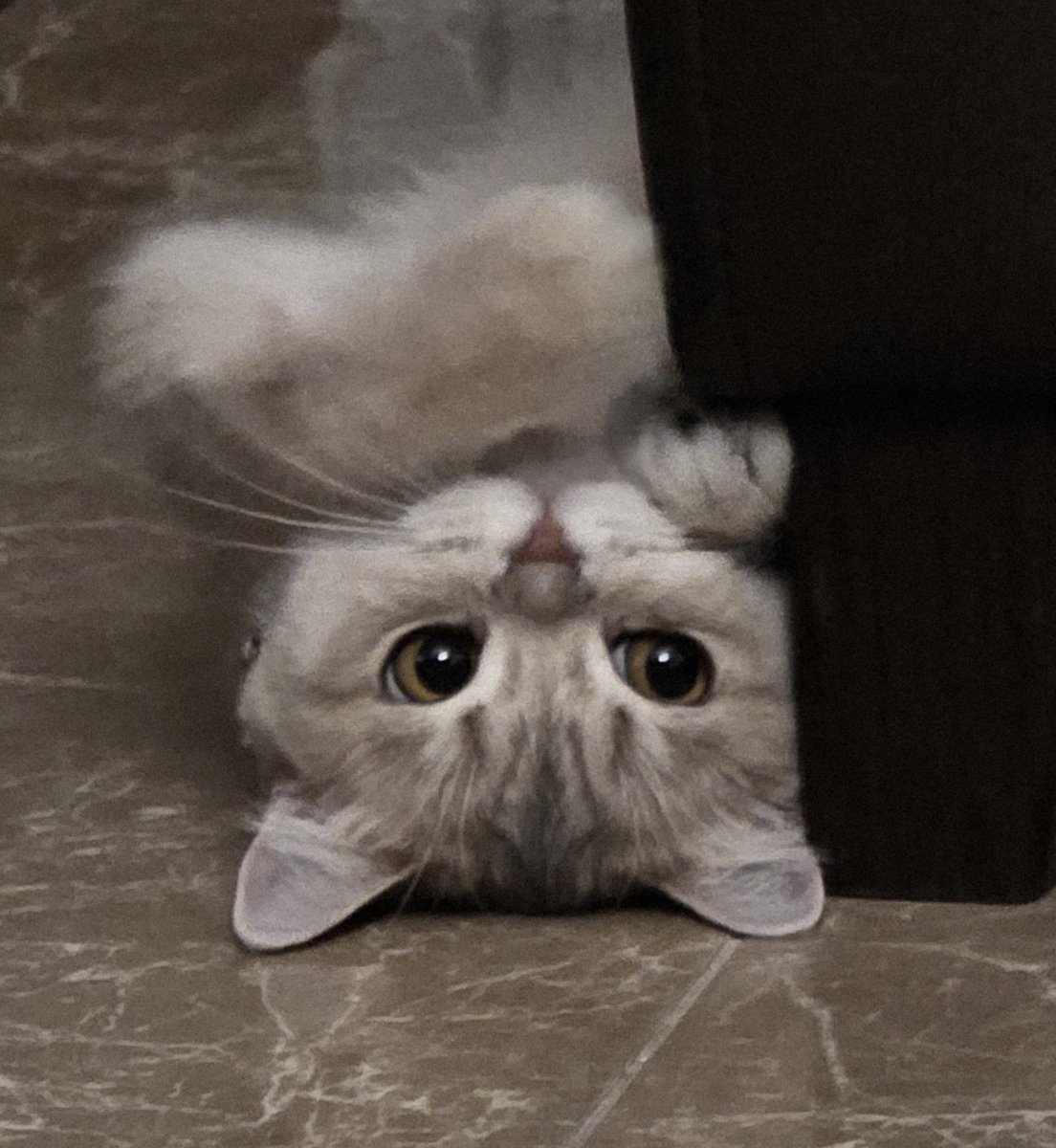 çok acil bakmanız lazım