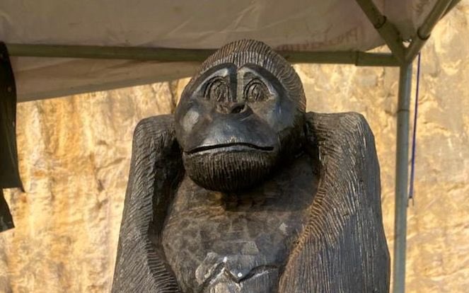 Arnold Black (@atukundaarnold) on Twitter photo 