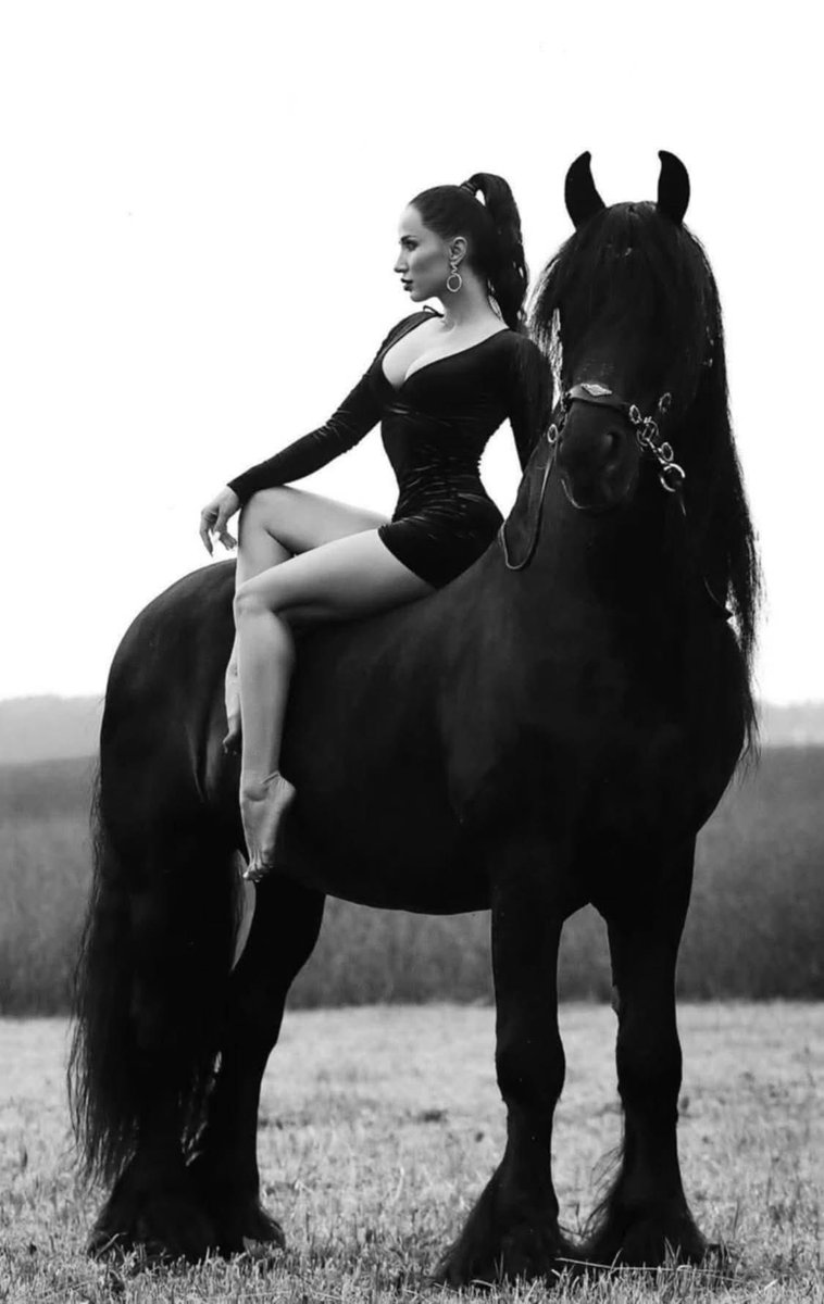 Pavlo 🏝️🐬 (@pavlo_ua) on Twitter photo 